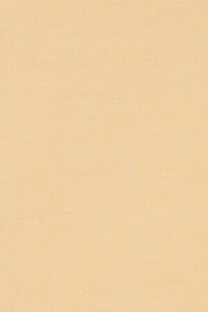 CHAMPAGNE SHARKSKIN SHIRT FABRIC