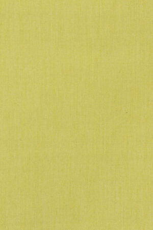 YELLOW SHIRT FABRIC