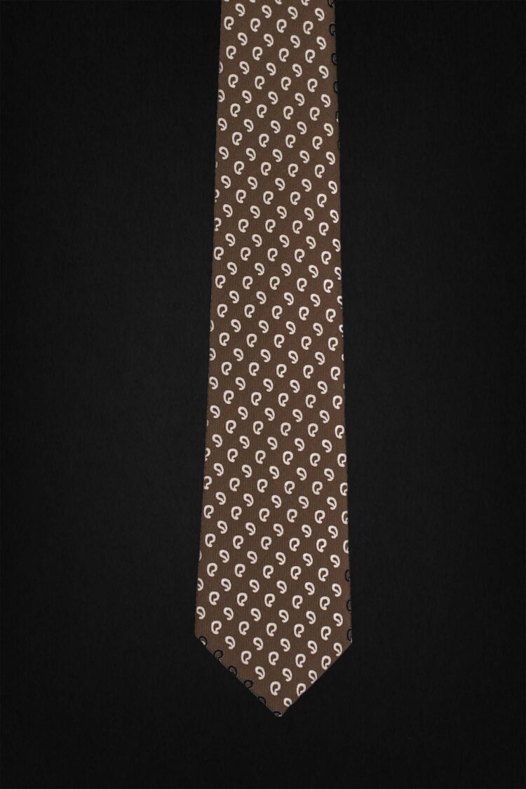 PAISLEY BROWN TIE