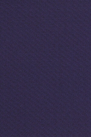 BLUE CHECKED FABRIC