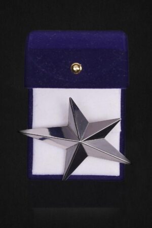 SILVER STAR LAPEL PIN