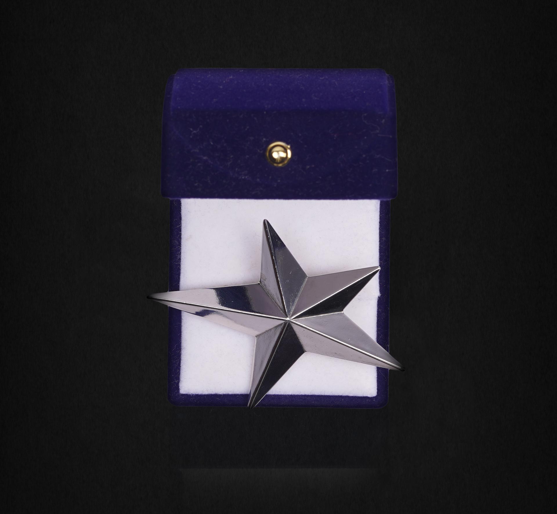 SILVER STAR LAPEL PIN