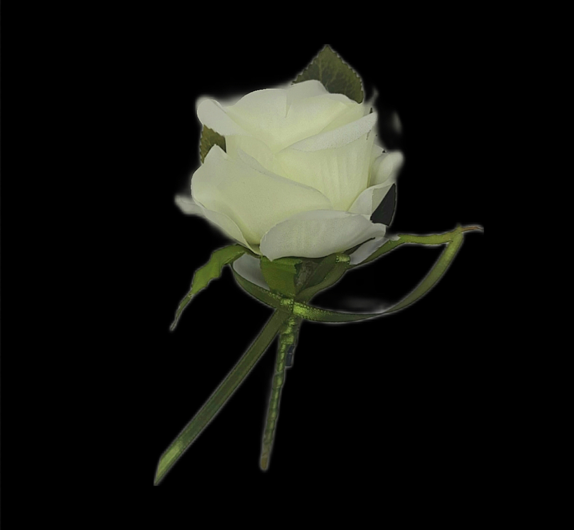 OFF WHITE ROSE- FOR LAPEL