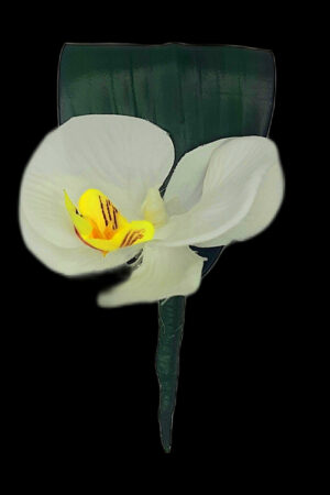 WHITE-WATER LILY LAPEL FLOWER